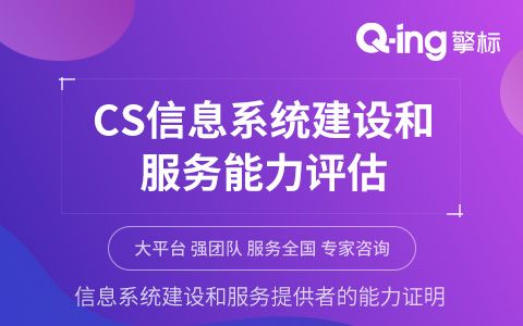 信息系統(tǒng)建設(shè)與服務(wù)能力評估 信息技術(shù)咨詢服務(wù)的核心價值